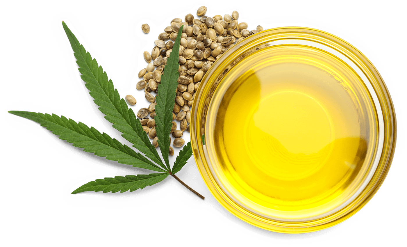 a graphic of a hemp leaf, seeds and oil